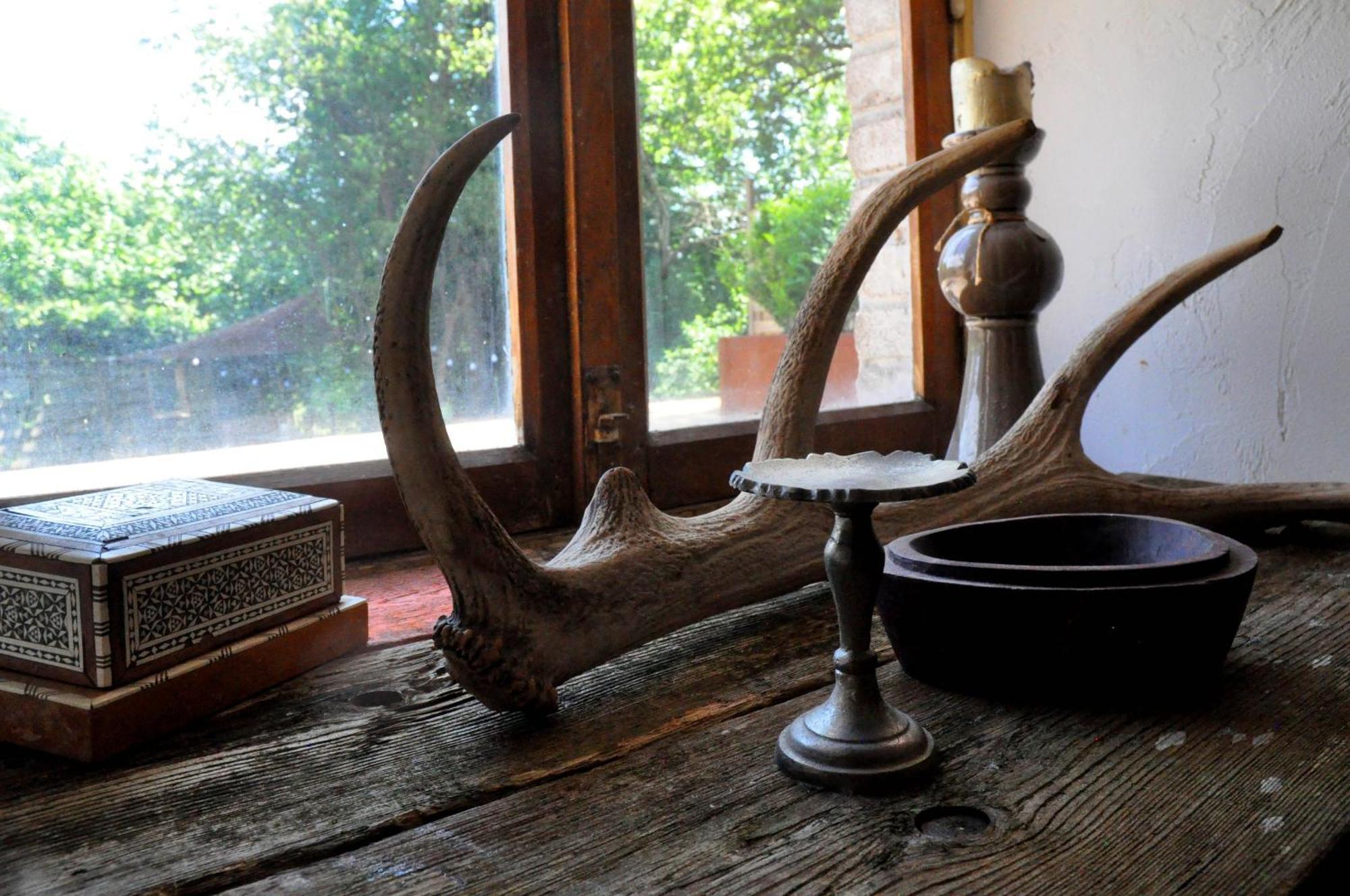 B&B Ferme1883 Lierneux Værelse billede